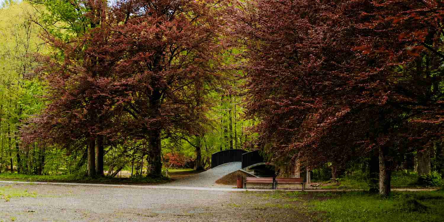 Coburgovský park v Pohorelskej Maši opäť ožíva. Historická perla Horehronia otvára svoje brány verejnosti