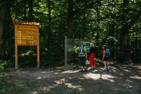 Chodnik Jakuba Surovca Zbojska 5