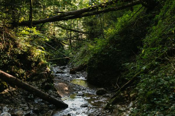 Chodnik Jakuba Surovca Zbojska 8