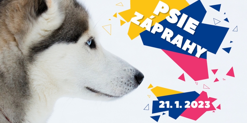Psie záprahy